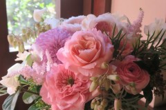IMG_1571