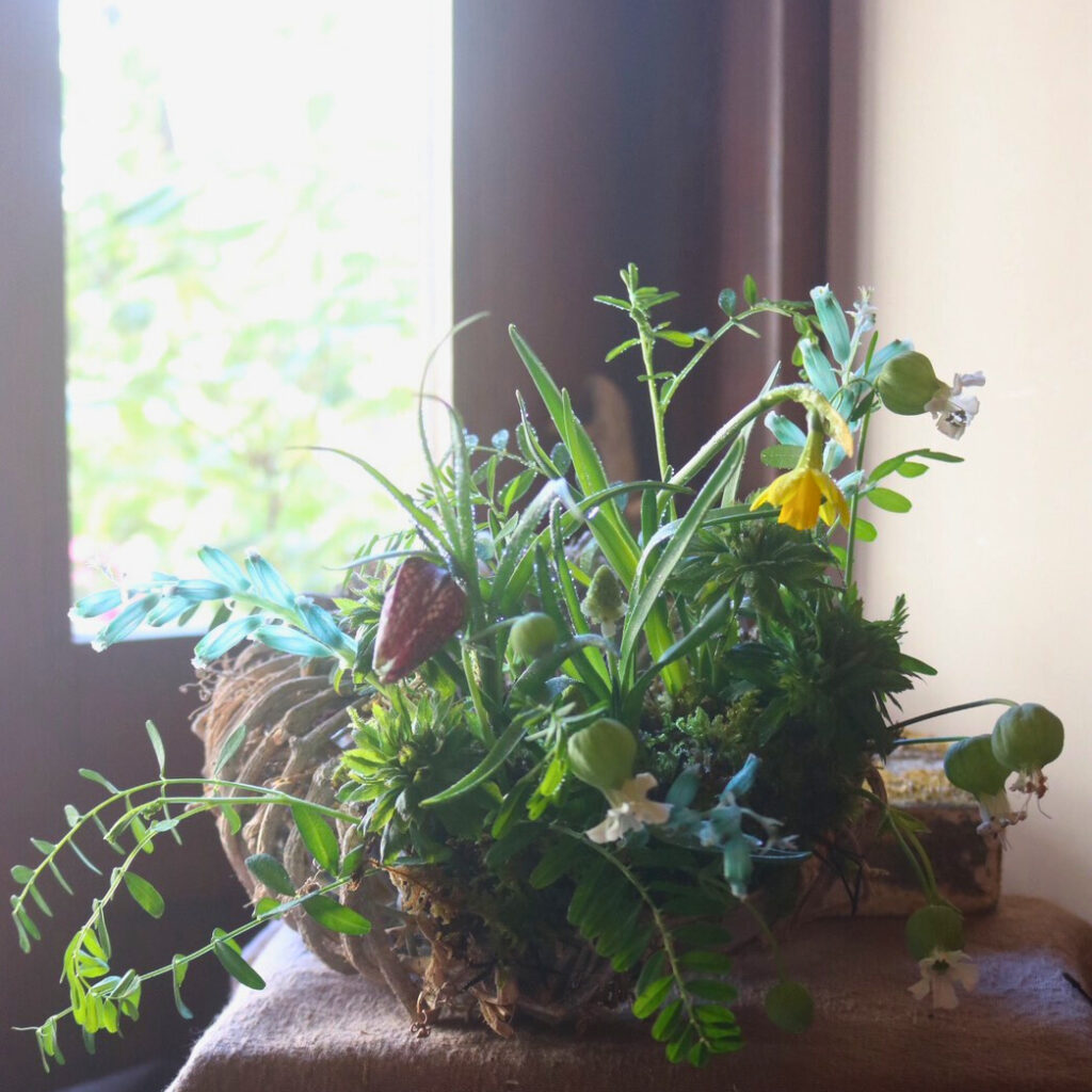 ワークショップ画像